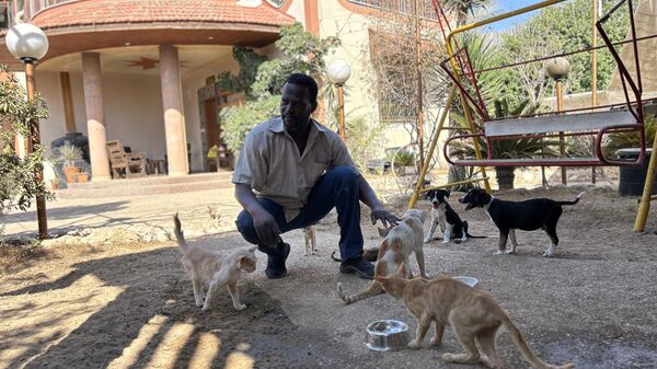النازحون في قطاع غزة  يتقاسمون الطعام مع حيواناتهم - سبوتنيك عربي