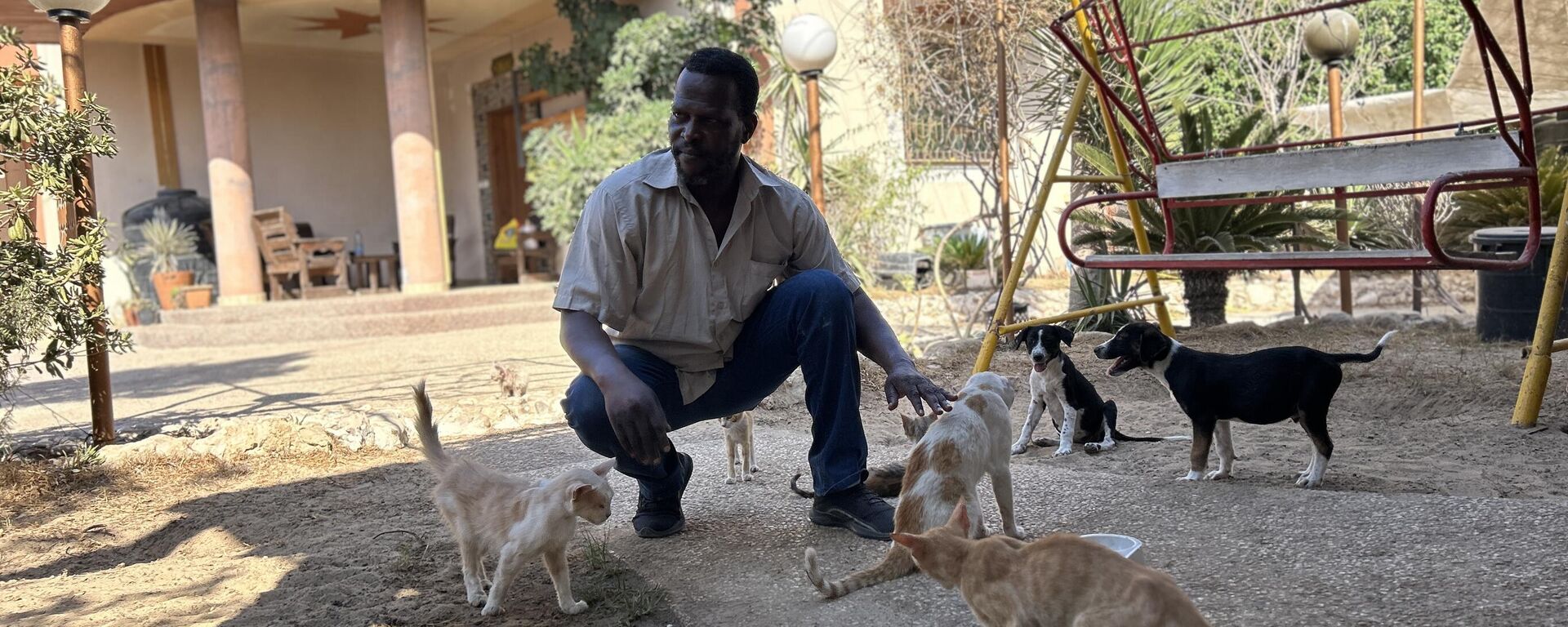 النازحون في قطاع غزة  يتقاسمون الطعام مع حيواناتهم - سبوتنيك عربي, 1920, 28.08.2025