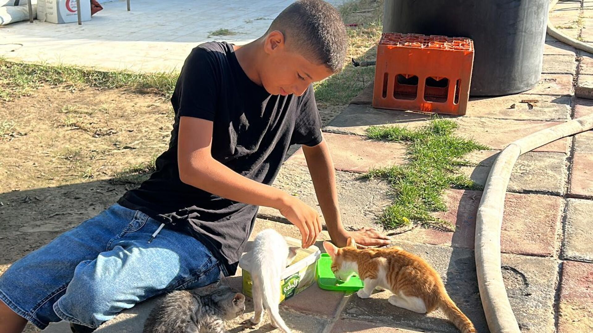 النازحون في قطاع غزة  يتقاسمون الطعام مع حيواناتهم - سبوتنيك عربي, 1920, 26.08.2025