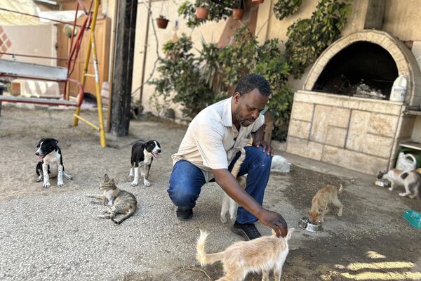 النازحون في قطاع غزة  يتقاسمون الطعام مع حيواناتهم - سبوتنيك عربي