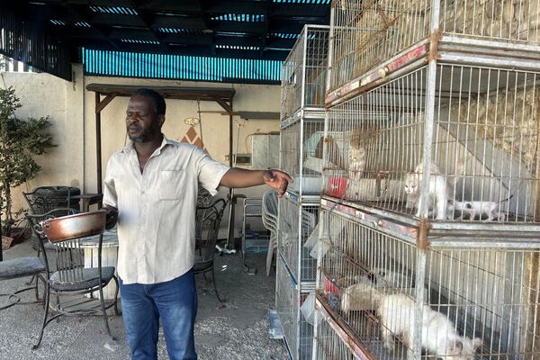 النازحون في قطاع غزة  يتقاسمون الطعام مع حيواناتهم - سبوتنيك عربي