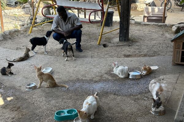 النازحون في قطاع غزة  يتقاسمون الطعام مع حيواناتهم - سبوتنيك عربي