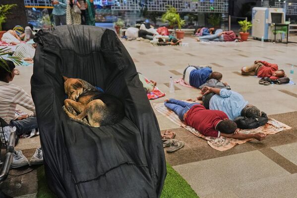 كلب ضال ينام على كرسي متحرك بينما يستريح الركاب على الأرض في محطة حافلات في الهند. - سبوتنيك عربي