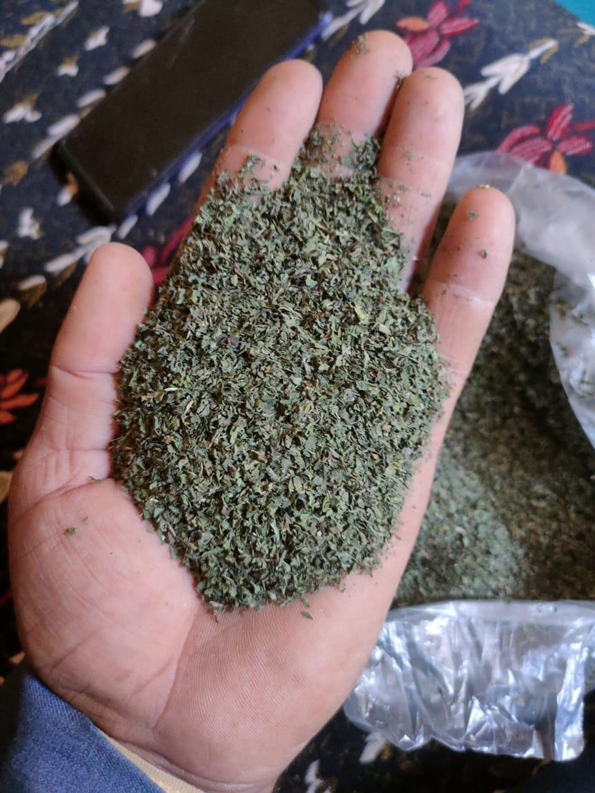 أرض الدواء والنبابات العطرية...أبو دنقاش القرية الأشهر في مصر أرض الدواء والنبابات العطرية...أبو دنقاش القرية الأشهر في مصر - سبوتنيك عربي, 1920, 29.08.2025