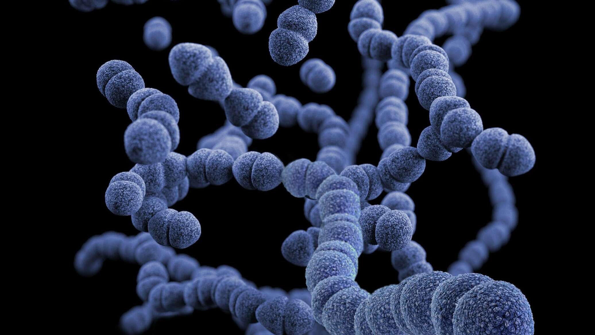 اكتشاف ظاهرة بيولوجية غير متوقعة تعيد تشكيل الخلايا البكتيرية