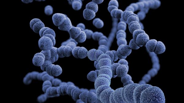 بكتريا - سبوتنيك عربي