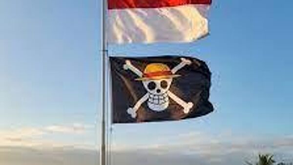 علم قراصنة من مسلسل ون بيس في أندونيسيا - سبوتنيك عربي