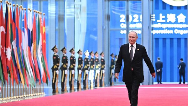  الرئيس الروسي فلاديمير بوتين - سبوتنيك عربي