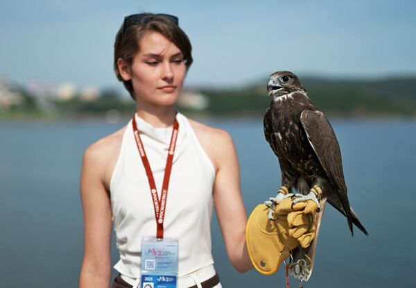 صورة لفتاة تحمل بيدها صقرا، ضمن فعاليات الافتتاح الرسمي لجناح &quot;بيت الصقر&quot;. - سبوتنيك عربي
