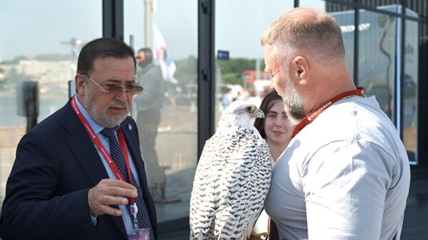 افتتاح منتدىيوم الصقر كجزء من المنتدى الاقتصادي الشرقي 2025
 - سبوتنيك عربي