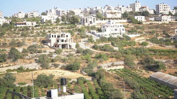 عنب الخليل جنوبي الضفة الغربية  - سبوتنيك عربي