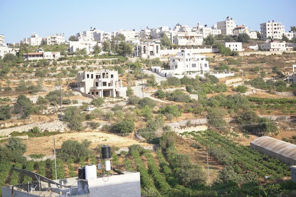 عنب الخليل جنوبي الضفة الغربية  - سبوتنيك عربي