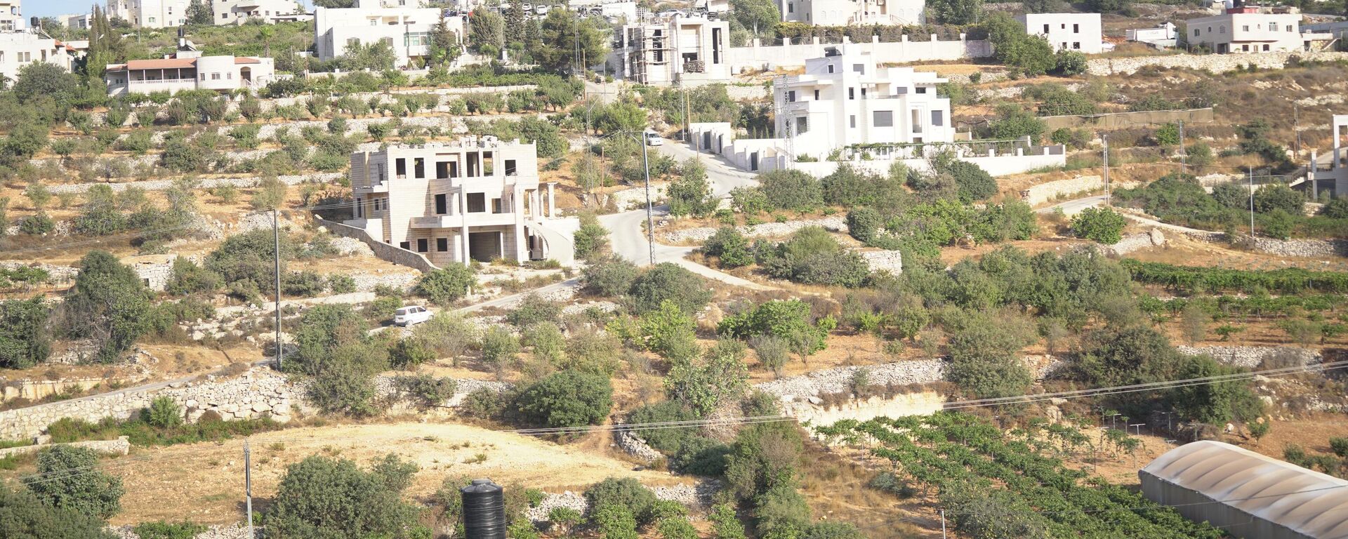 عنب الخليل جنوبي الضفة الغربية  - سبوتنيك عربي, 1920, 25.12.2025