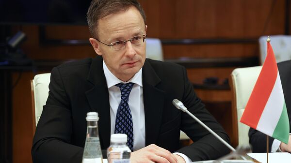 وزير الخارجية المجري بيتر سيارتو - سبوتنيك عربي