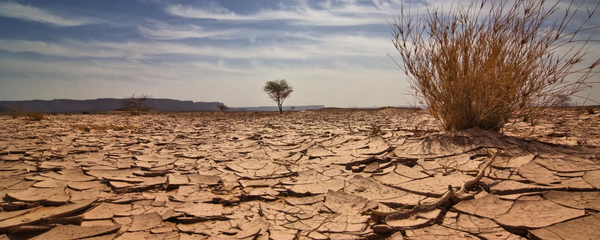 تربة جافة  - سبوتنيك عربي, 1920, 05.09.2025