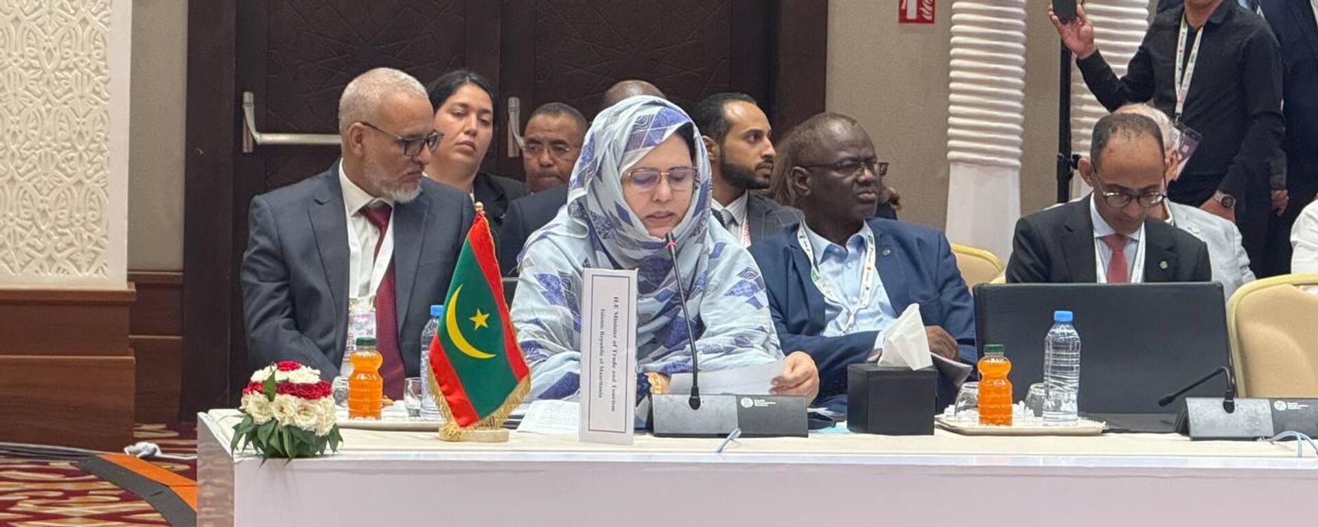 وزيرة التجارة والصناعة والصناعة التقليدية والسياحة الموريتانية زينب بنت أحمد ناه - سبوتنيك عربي, 1920, 05.09.2025