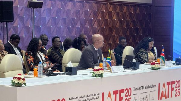 وزير التجارة والصناعة والمنافسة بجنوب أفريقيا، باركس تاو - سبوتنيك عربي