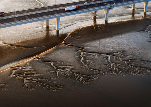 صورة جوية لأنماط على شكل أشجار تظهر على مجرى نهر تشيانتانغ، الصين. - سبوتنيك عربي