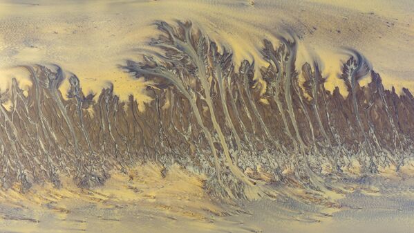 منظر طبيعي للمد والجزر تظهر بعد انحسار المد عند مصب نهر تشيانتانغ في مقاطعة تشجيانغ، الصين. - سبوتنيك عربي