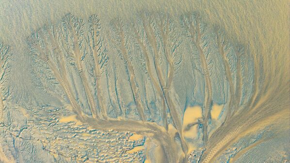 منظر طبيعي لآثار المد والجزر تظهر بعد انحسار المد عند مصب نهر تشيانتانغ في مدينة هاينينج، مقاطعة تشجيانغ، الصين. - سبوتنيك عربي