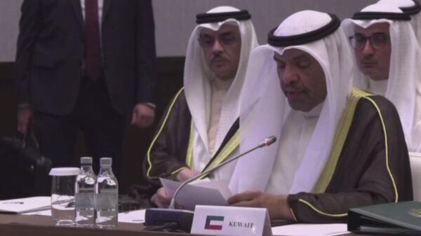 وزير الخارجية الكويتي عبدالله علي اليحيا - سبوتنيك عربي