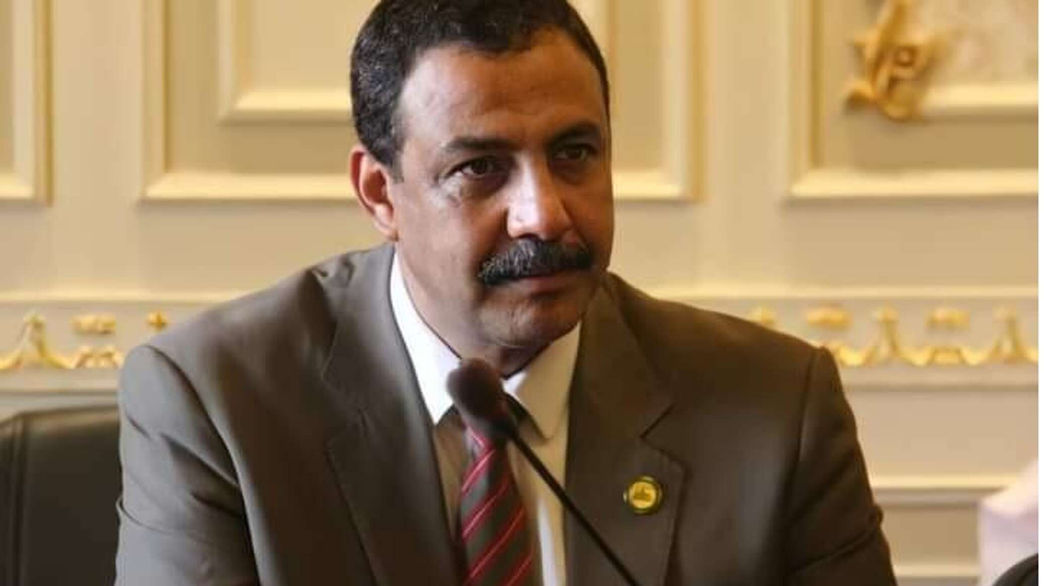 برلماني مصري: تأسيس "قوة عربية مشتركة" بقيادة القاهرة أصبح ضرورة لحماية الأمن القومي للمنطقة