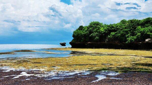 طبيعة - سبوتنيك عربي