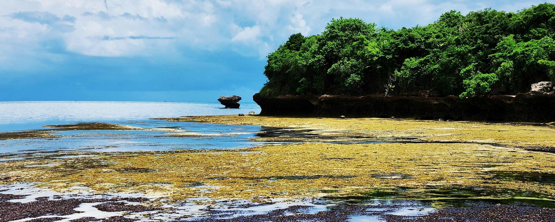 طبيعة - سبوتنيك عربي, 1920, 14.09.2025