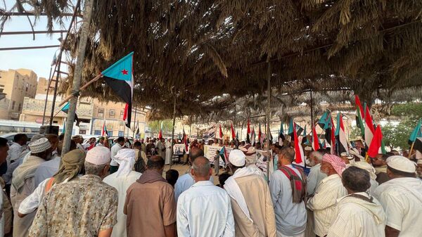  - سبوتنيك عربي