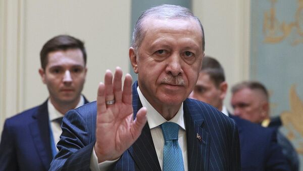 الرئيس التركي، رجب طيب أردوغان - سبوتنيك عربي