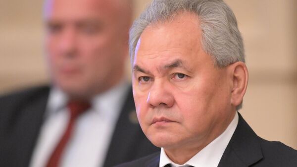 سكرتير مجلس الأمن الروسي، سيرغي شويغو، - سبوتنيك عربي