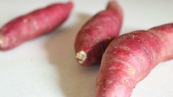 البطاطا الحلوة - سبوتنيك عربي