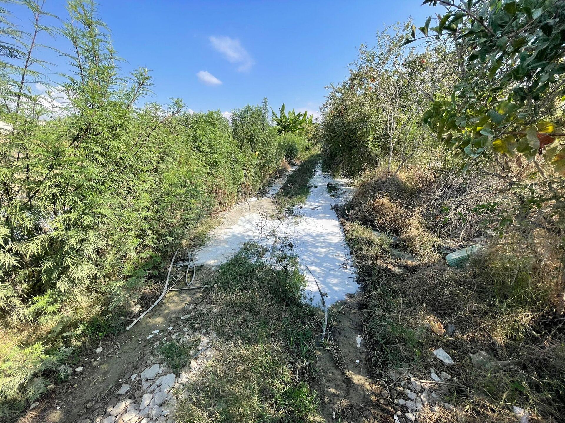 عائلة فلسطينية تكافح للحفاظ على أرضها شمالي الضفة الغربية بمواجهة قرار الهدم الإسرائيلي  - سبوتنيك عربي, 1920, 18.09.2025