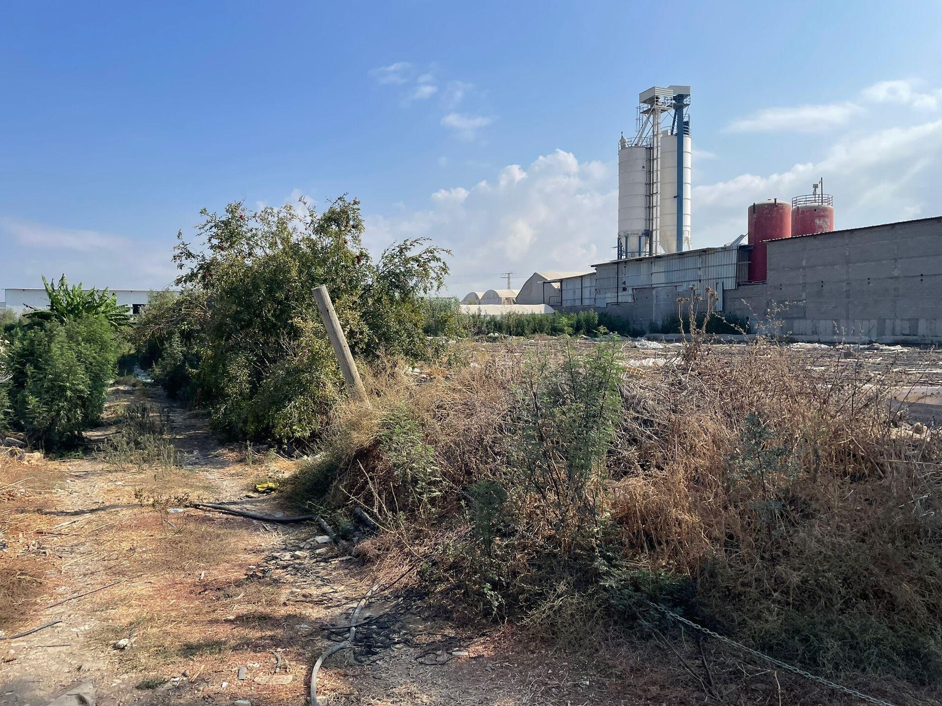 عائلة فلسطينية تكافح للحفاظ على أرضها شمالي الضفة الغربية بمواجهة قرار الهدم الإسرائيلي  - سبوتنيك عربي, 1920, 18.09.2025