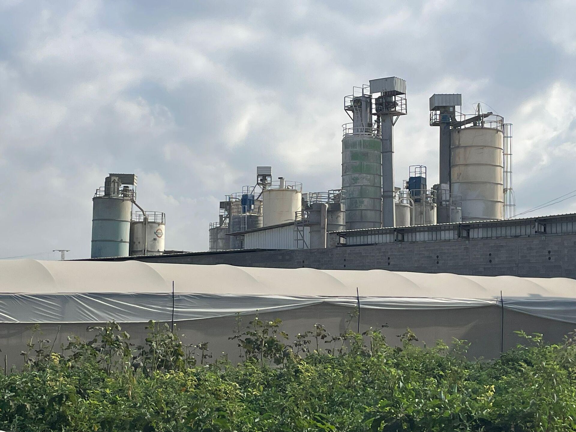 عائلة فلسطينية تكافح للحفاظ على أرضها شمالي الضفة الغربية بمواجهة قرار الهدم الإسرائيلي  - سبوتنيك عربي, 1920, 18.09.2025