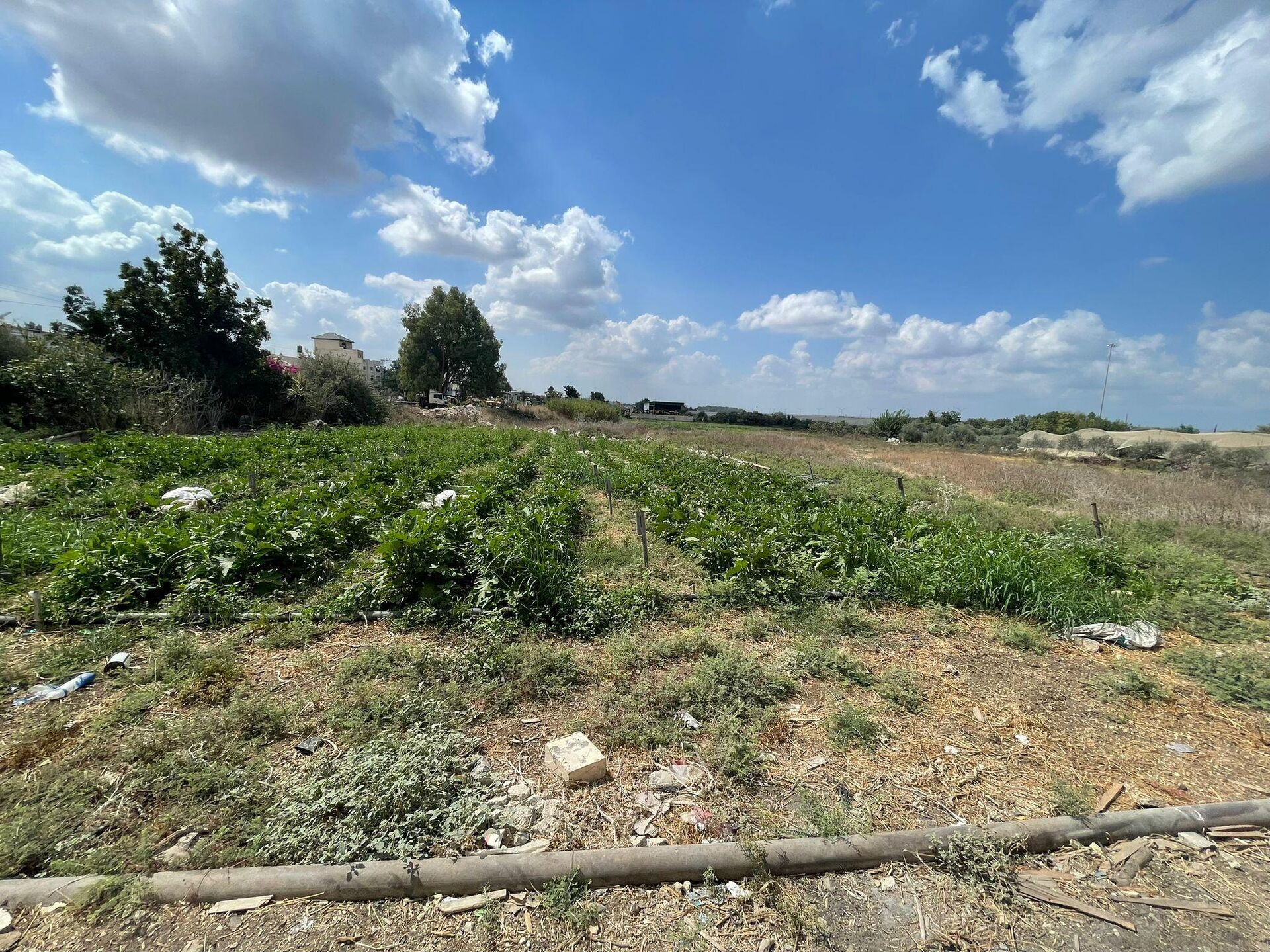 عائلة فلسطينية تكافح للحفاظ على أرضها شمالي الضفة الغربية بمواجهة قرار الهدم الإسرائيلي  - سبوتنيك عربي, 1920, 18.09.2025