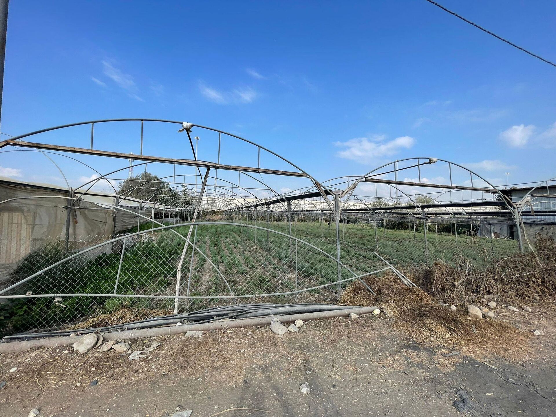 عائلة فلسطينية تكافح للحفاظ على أرضها شمالي الضفة الغربية بمواجهة قرار الهدم الإسرائيلي  - سبوتنيك عربي, 1920, 18.09.2025