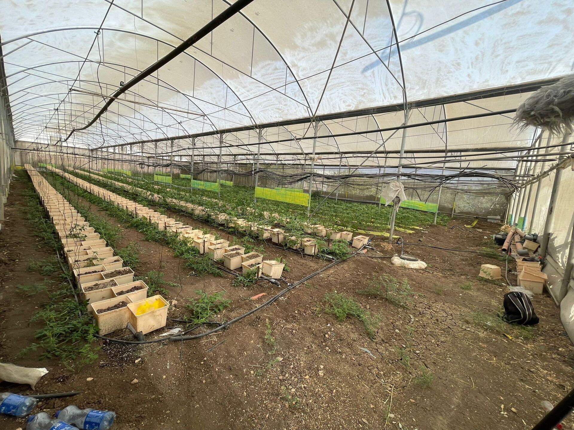 عائلة فلسطينية تكافح للحفاظ على أرضها شمالي الضفة الغربية بمواجهة قرار الهدم الإسرائيلي  - سبوتنيك عربي, 1920, 18.09.2025