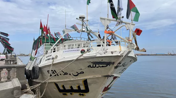 - سبوتنيك عربي