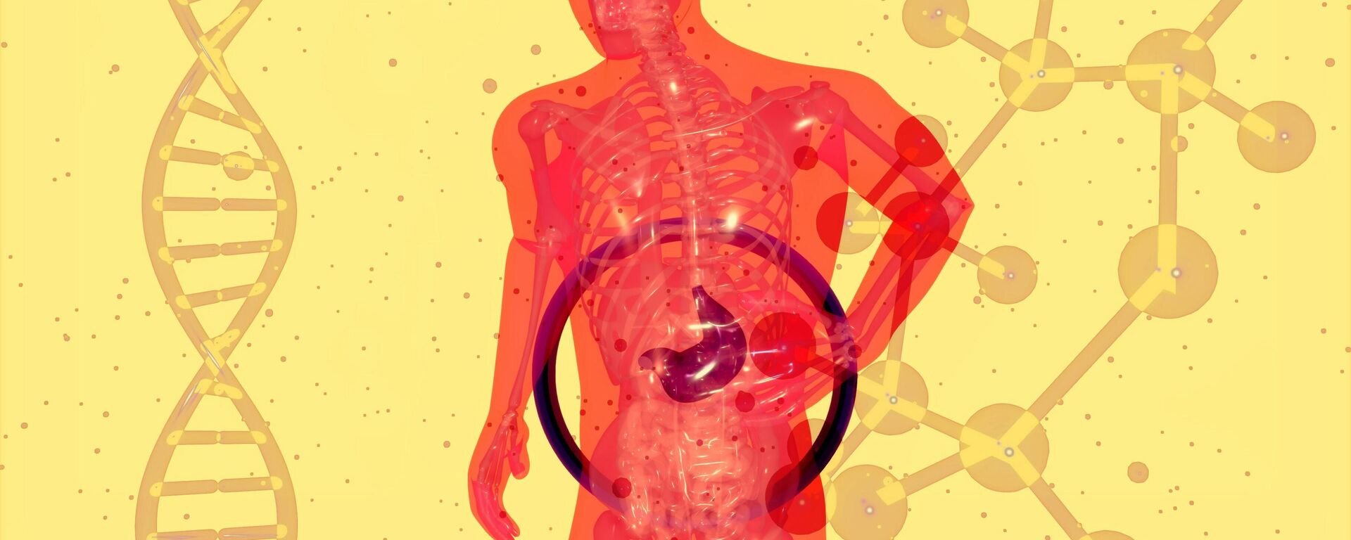 الكبد الدهني - سبوتنيك عربي, 1920, 20.09.2025