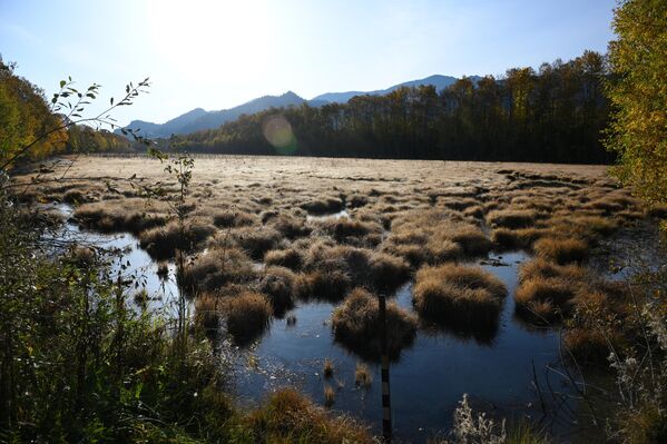 برك تخزين النفايات في مصنع "بايكال" المغلق - سبوتنيك عربي