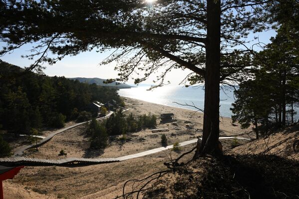 منظر من غابة مطلة على بحيرة "بايكال" - سبوتنيك عربي