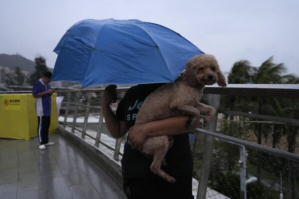 امرأة تحمل كلبها ومظلة في مواجهة الرياح القوية بسبب الإعصار "راغاسا" في شنتشن بمقاطعة قوانغدونغ جنوب الصين. - سبوتنيك عربي