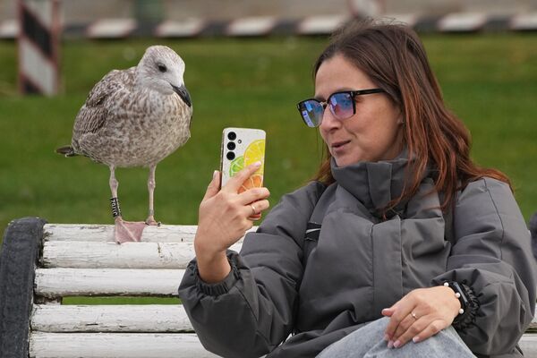 امرأة تلتقط صورة سيلفي مع طائر نورس في حديقة في سانت بطرسبورغ، روسيا. - سبوتنيك عربي