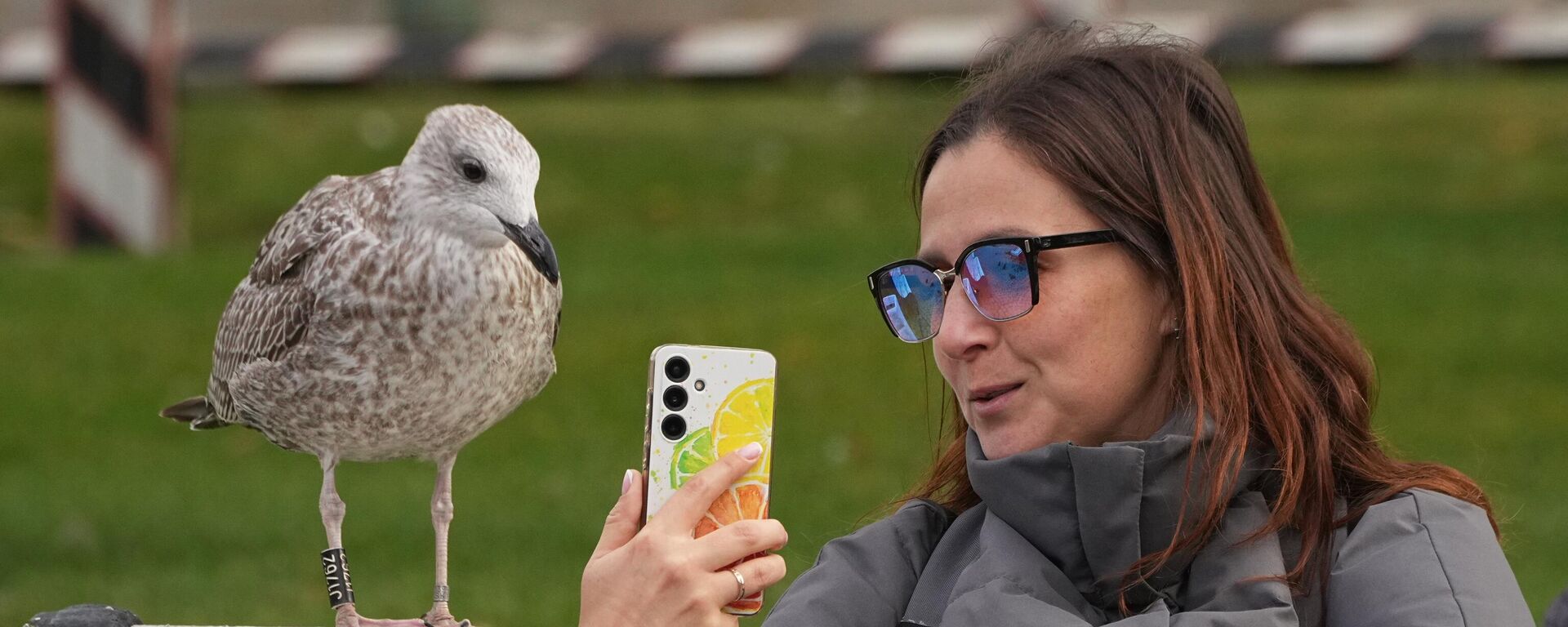 Женщина делает селфи с чайкой в ​​парке в Санкт-Петербурге, Россия - سبوتنيك عربي, 1920, 25.09.2025