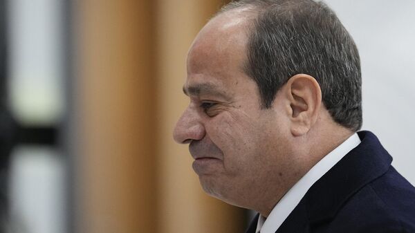 الرئيس المصري، عبد الفتاح السيسي - سبوتنيك عربي