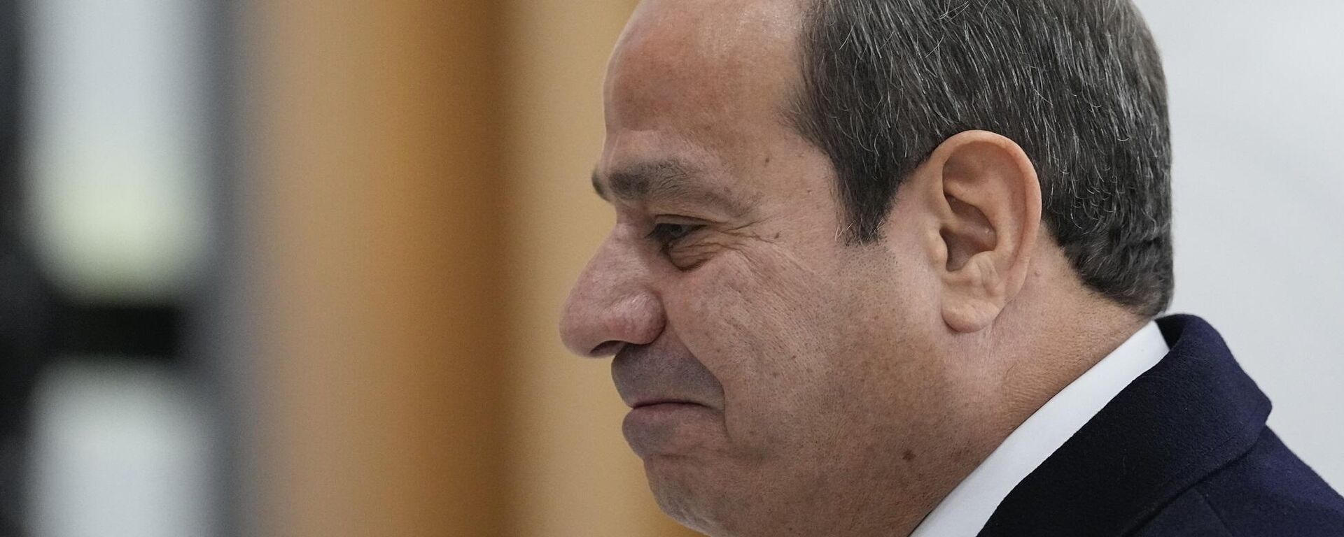 الرئيس المصري، عبد الفتاح السيسي - سبوتنيك عربي, 1920, 09.10.2025