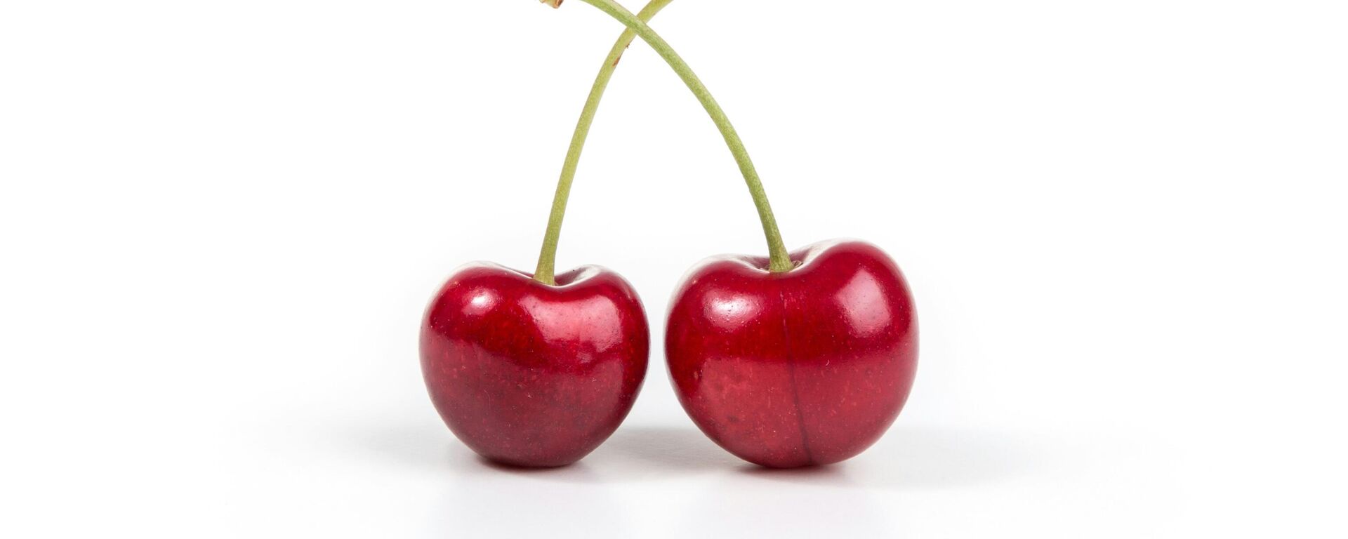 الكرز - سبوتنيك عربي, 1920, 28.09.2025