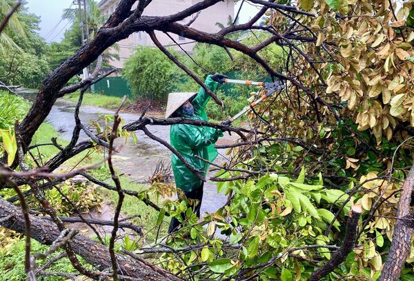 امرأة تزيل شجرة مكسورة نتيجة إعصار &quot;بوالووي&quot; في فيتنام. - سبوتنيك عربي