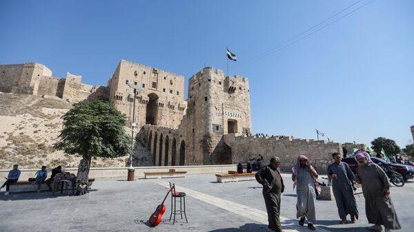 Туристы стоят перед древней цитаделью в Алеппо, Сирия - سبوتنيك عربي